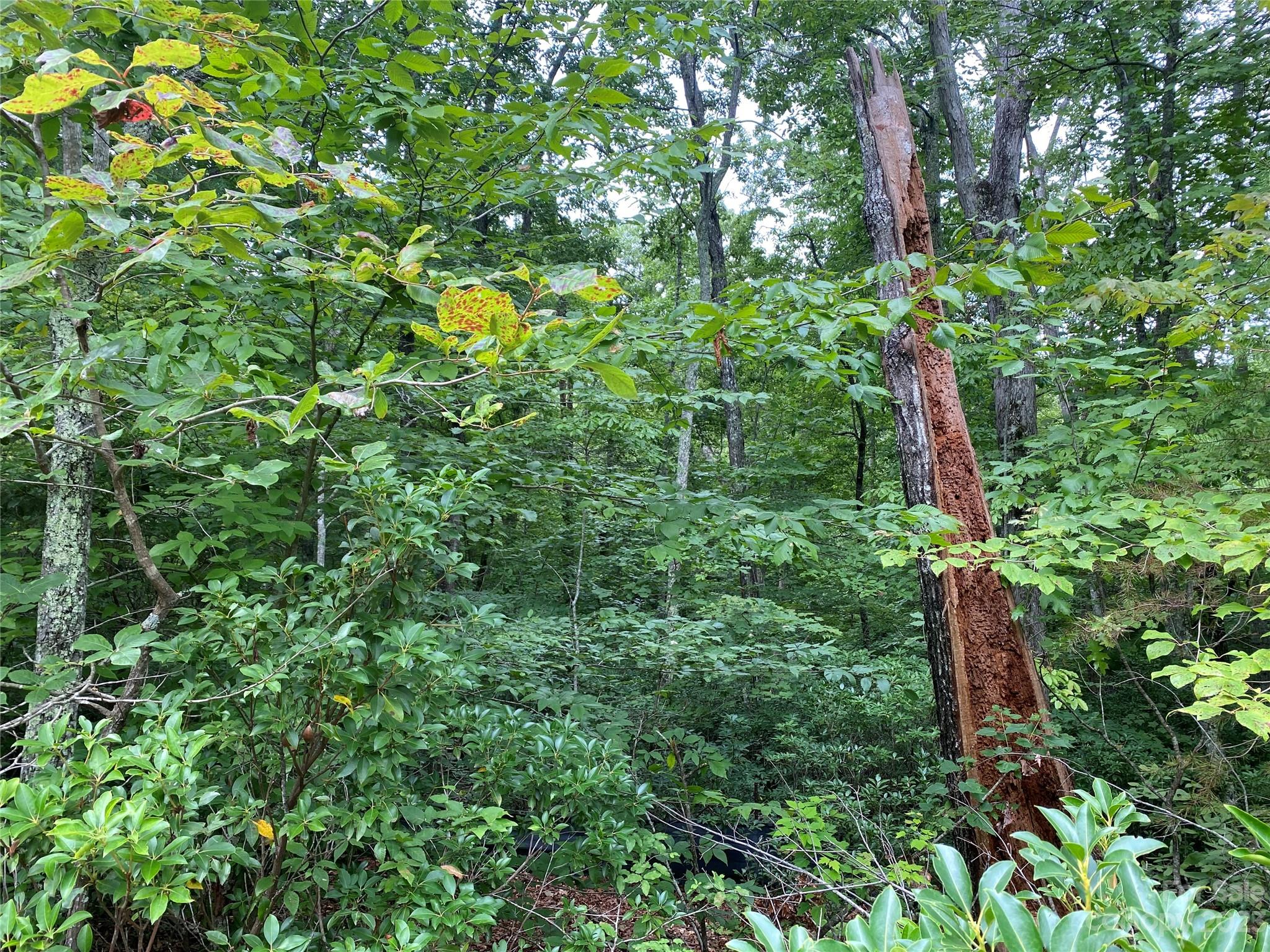 Property image 4 of Lot 87 Starling Drive in Forest Heights, Marion, NC 28752