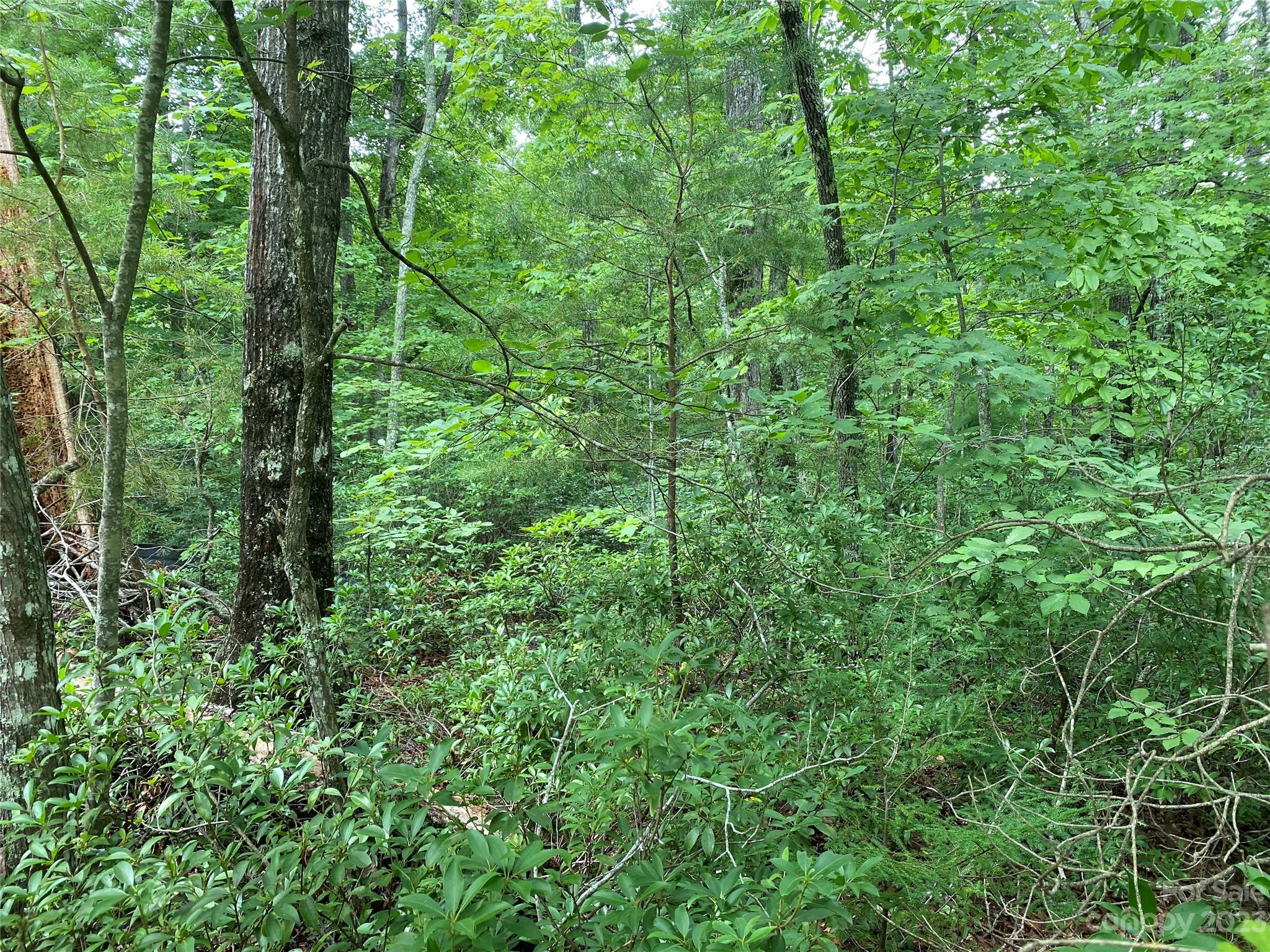 Property image 5 of Lot 87 Starling Drive in Forest Heights, Marion, NC 28752