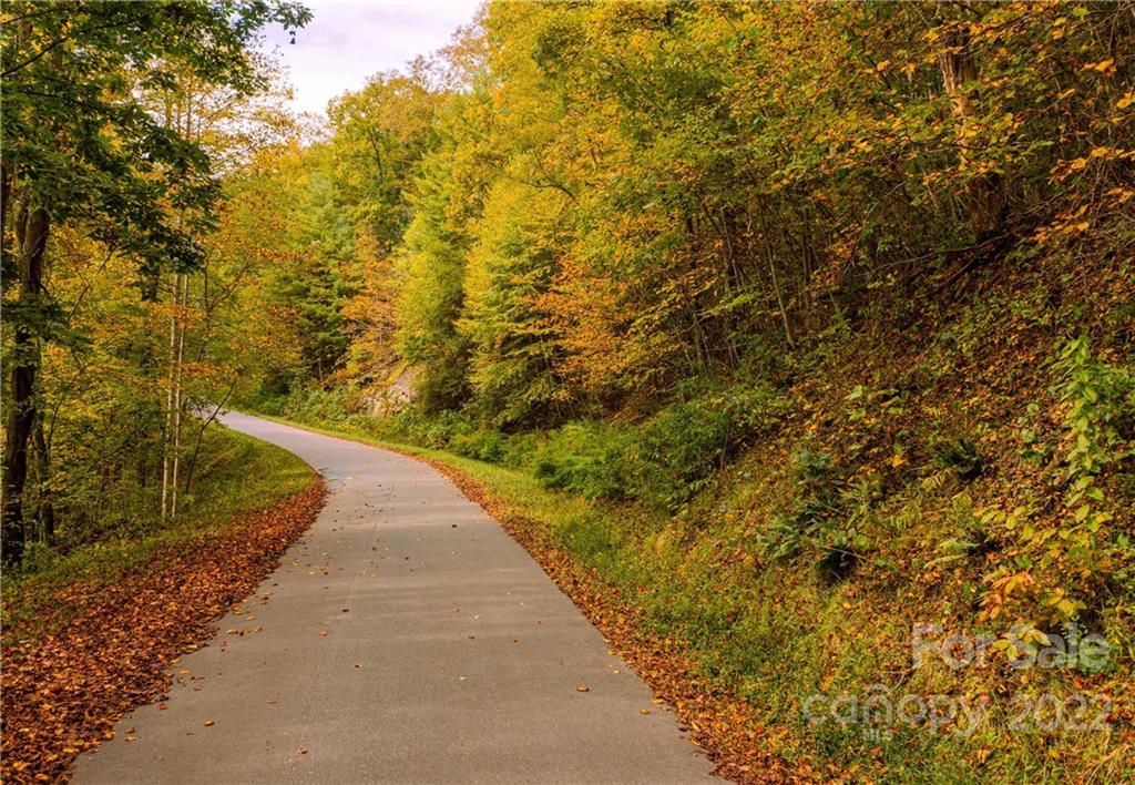 Property image 5 of Tbd Mchone Road in Swiss Pine Lake, Spruce Pine, NC 28777