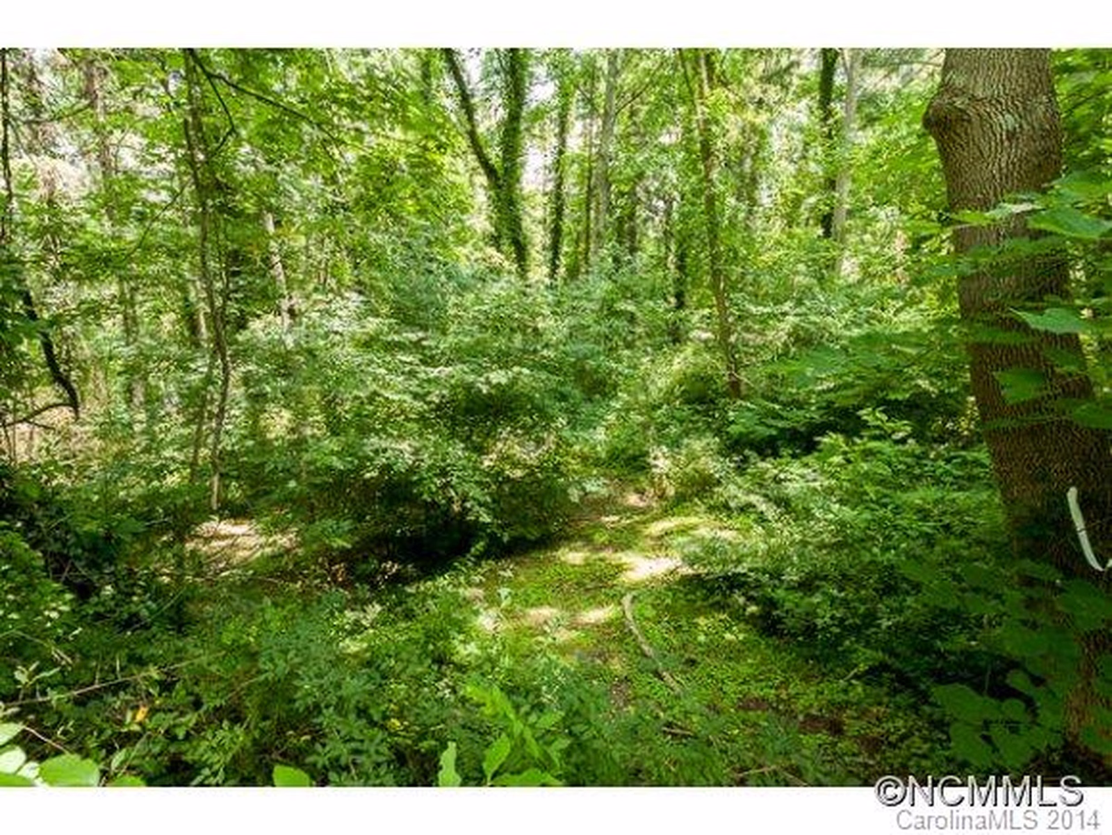 Property image 1 at 22 Von Ruck Ct, Asheville, NC 28801