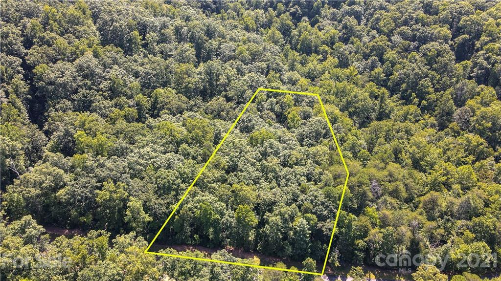 Property image 4 of Tbd Big Branch Drive in Forest Heights, Marion, NC 28752