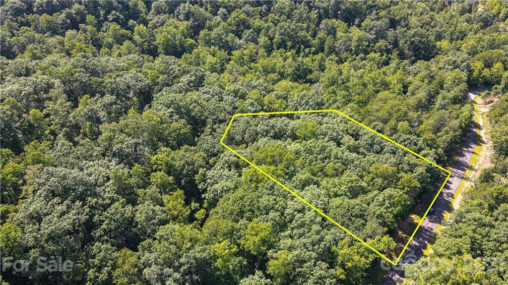 Property image 5 of Tbd Big Branch Drive in Forest Heights, Marion, NC 28752