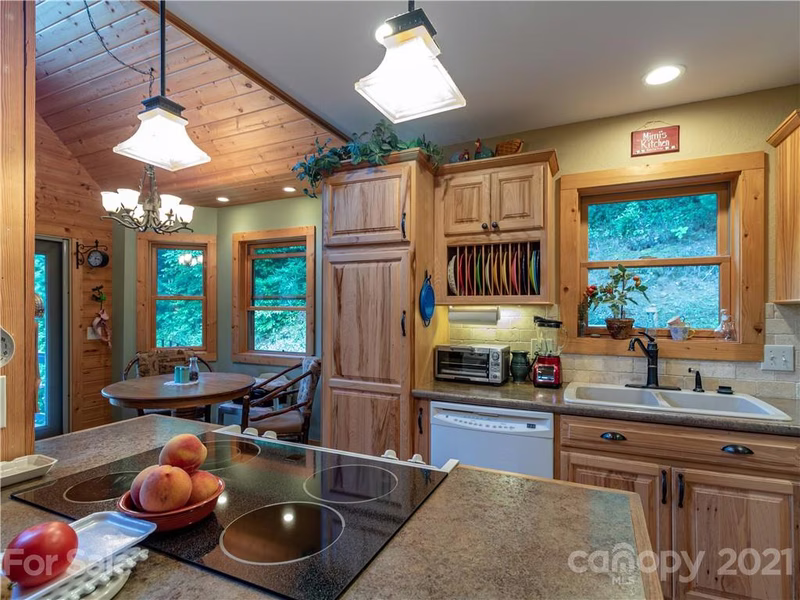 Property image 5 at 272 Appaloosa Trail, Burnsville, NC 28714