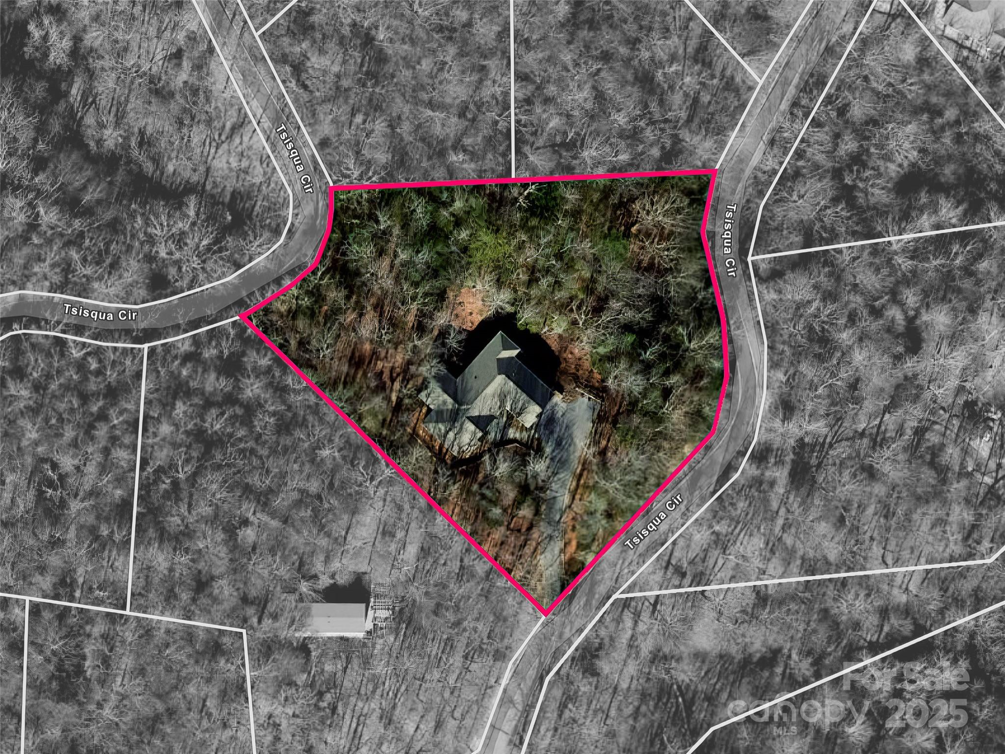 Property image 5 of 249 Tsisqua Circle in Connestee Falls, Brevard, NC 28712