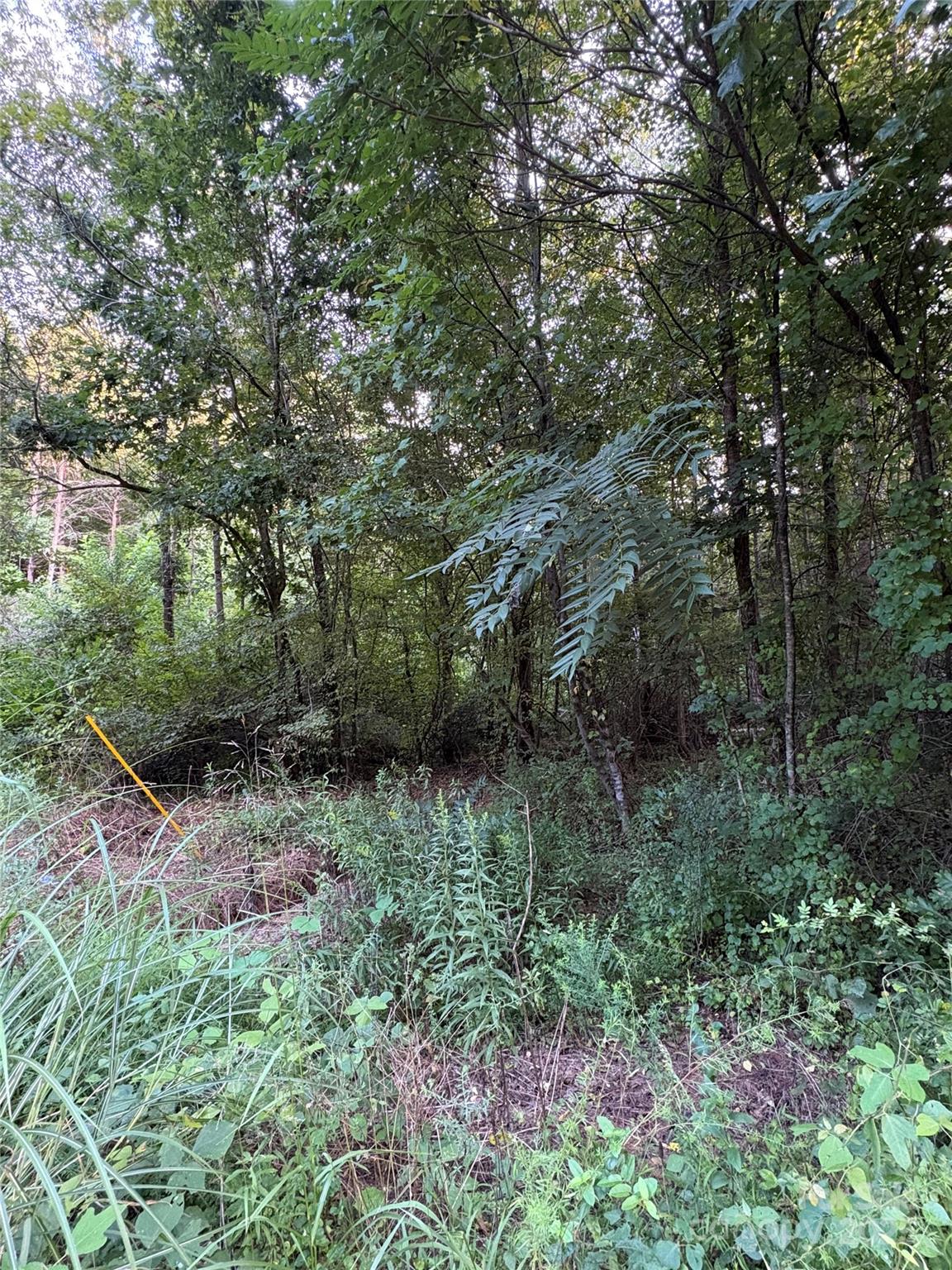 Property image 3 of 99999 Bunny Drive in Shannons Ridge, Marion, NC 28752