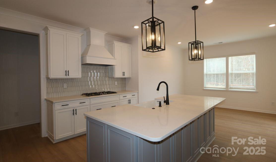 Property image 4 of 919 Mankey Drive in Spring Grove, Huntersville, NC 28078