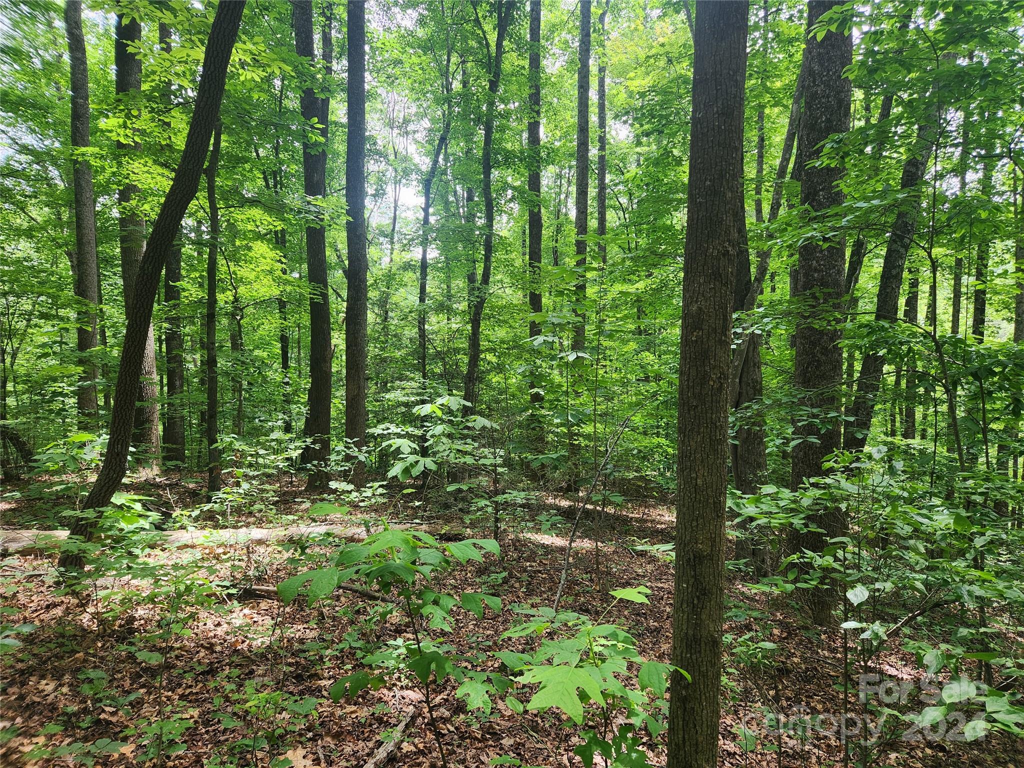 Property image 4 of 00 Trail Ridge Drive in Forest Heights, Marion, NC 28752
