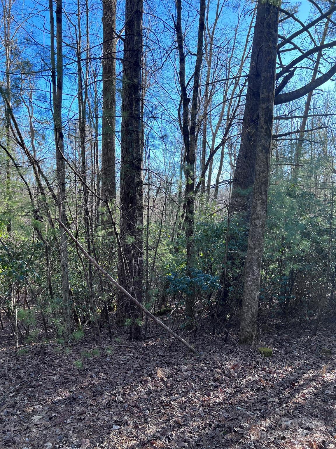 Property image 2 of L26 Konnaneeta Trail in Connestee Falls, Brevard, NC 28712