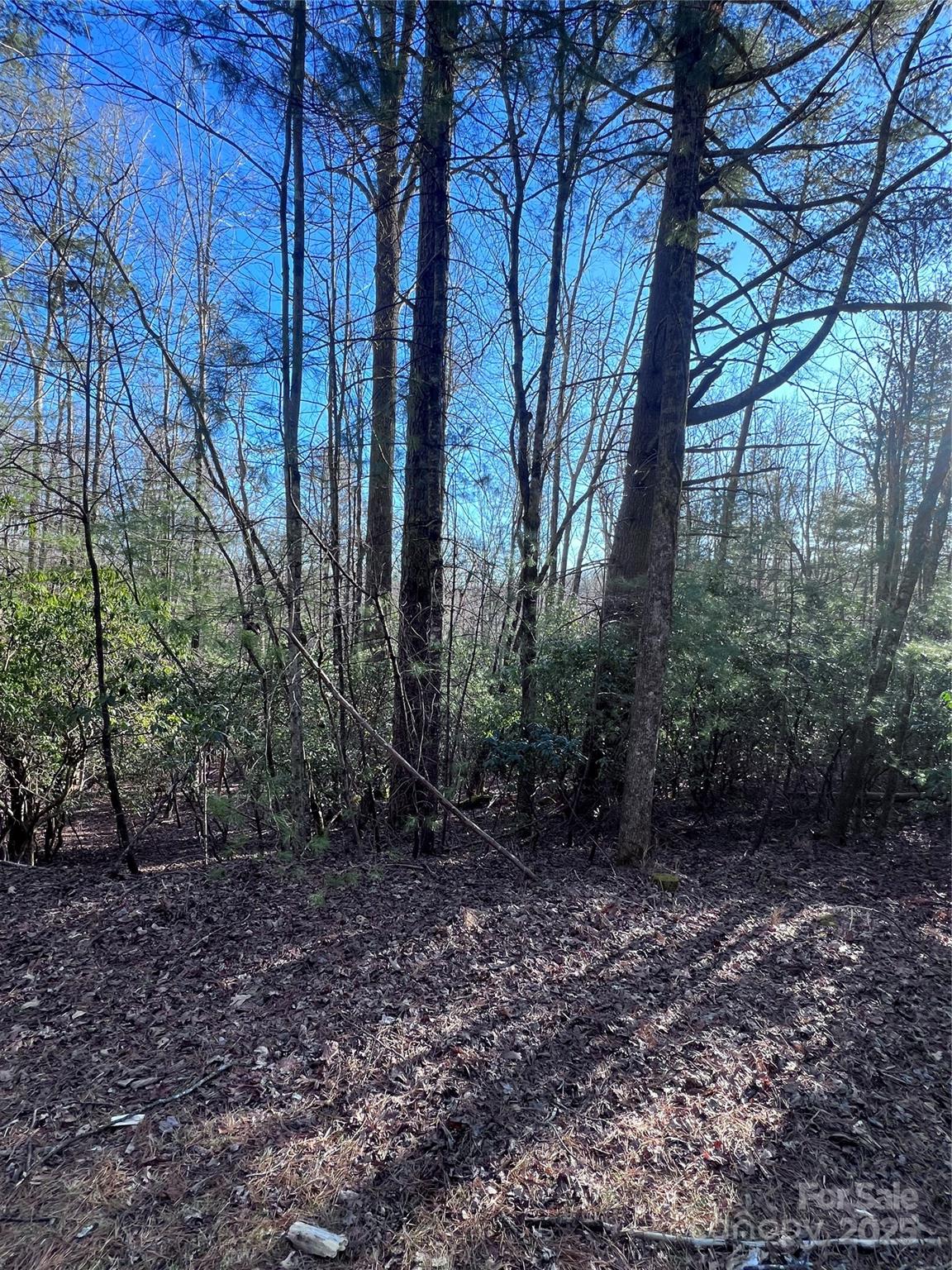 Property image 3 of L26 Konnaneeta Trail in Connestee Falls, Brevard, NC 28712