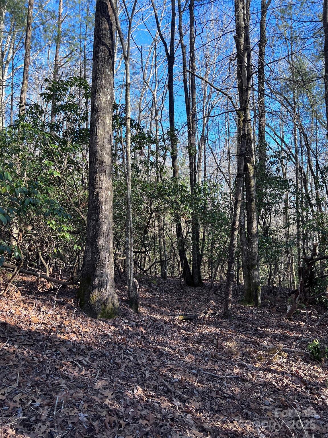 Property image 5 of L26 Konnaneeta Trail in Connestee Falls, Brevard, NC 28712
