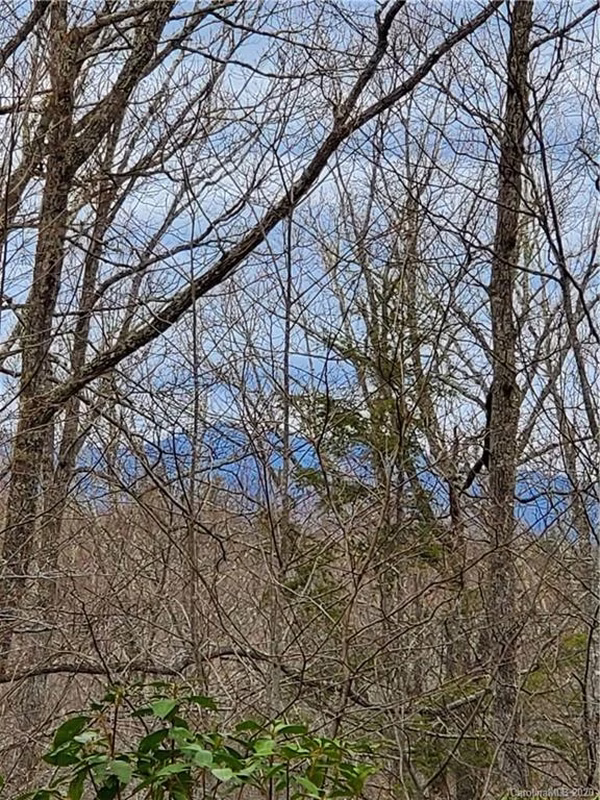 Property image 3 at 99999 Pisgah Forest Drive, Pisgah Forest, NC 28768