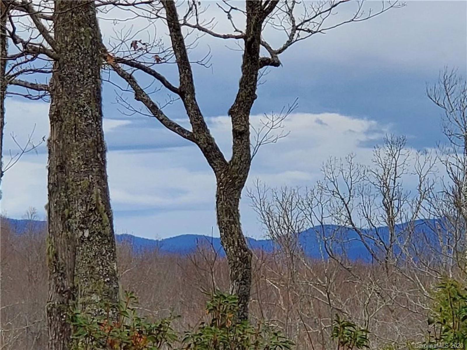 Property image 1 at 99999 Pisgah Forest Drive, Pisgah Forest, NC 28768