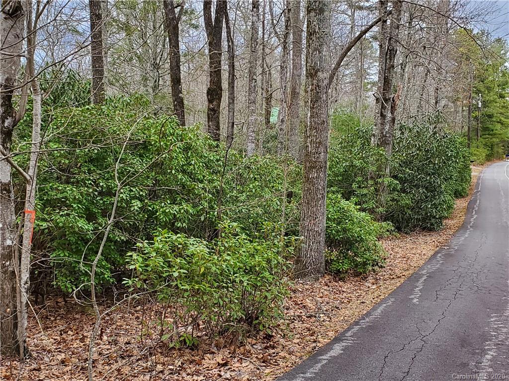 Property image 2 of 99999 Pisgah Forest Drive in Pisgah Forest Farms, Pisgah Forest, NC 28768