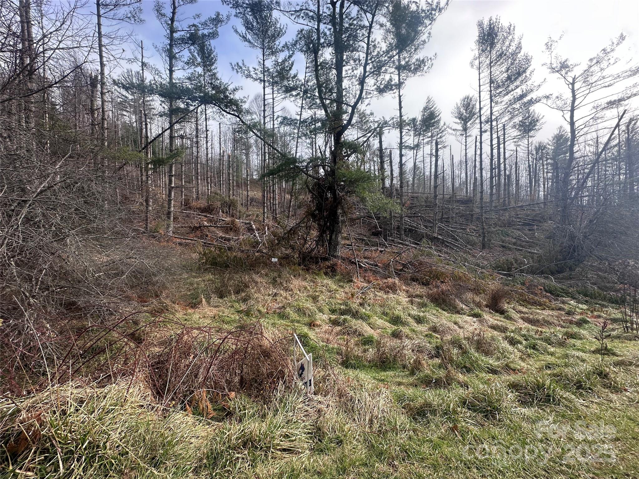 Property image 3 of 99999 White Pine Lane in Beech Creek, Bakersville, NC 28705