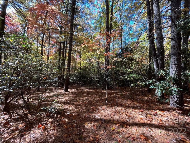 Tbd Hemlock Ridge Trail