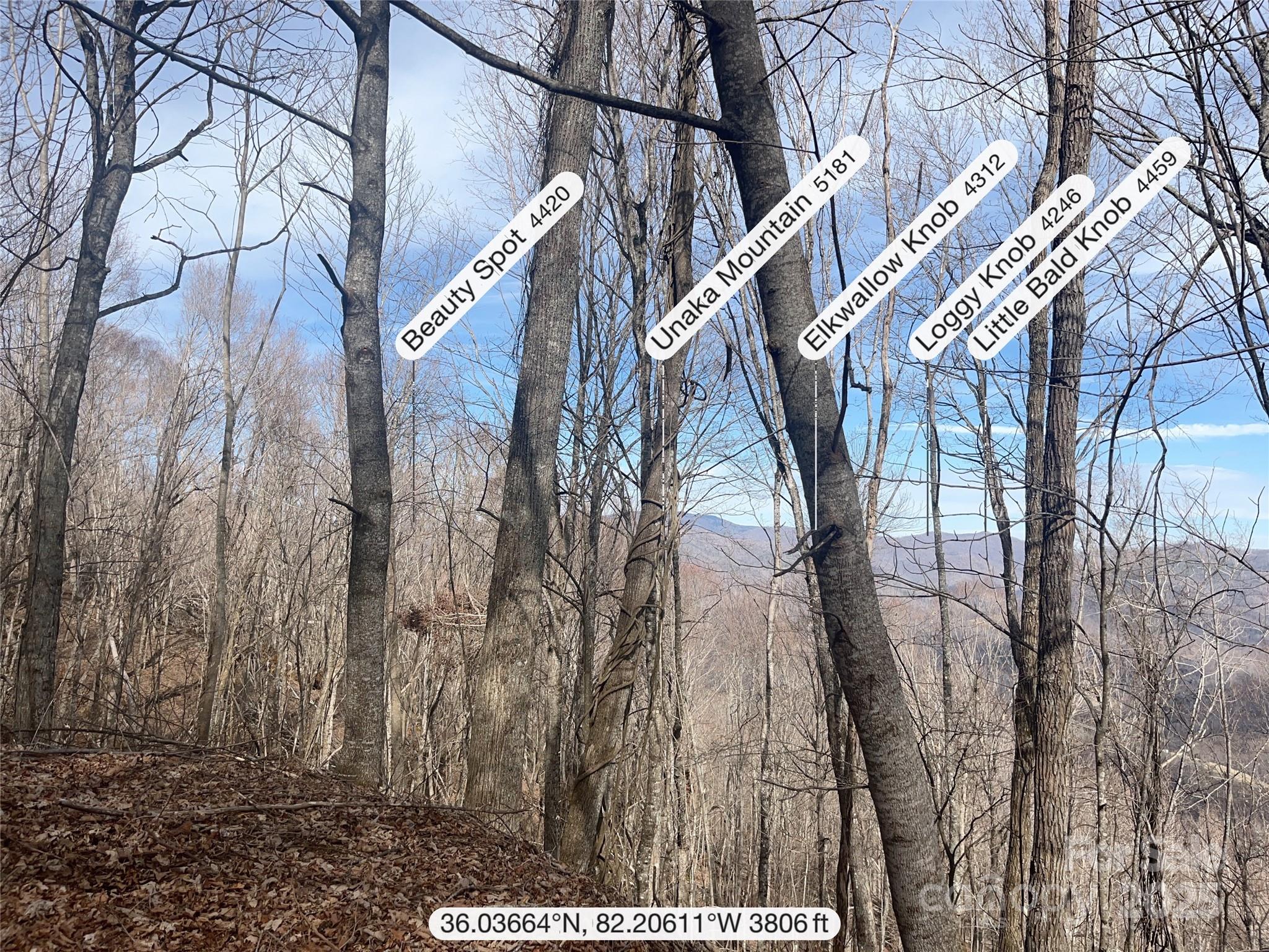 Property image 2 of Tbd Tyler Lane in Bear Ridge, Bakersville, NC 28705