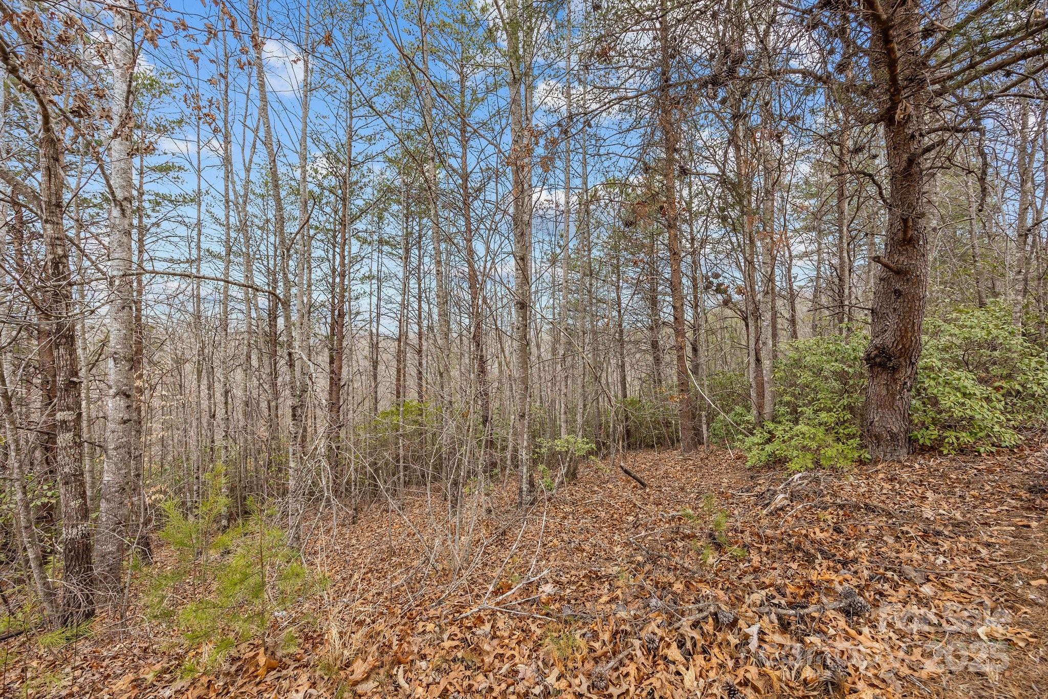 Property image 3 of Lot 108 Glenhaven Drive in Glenhaven, Marion, NC 28752
