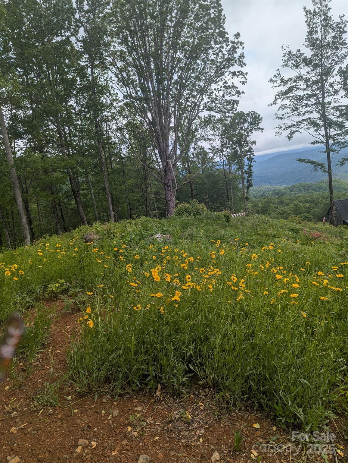 Property image 5 of 261 Nicholas Knoll Road in Amber Ranches, Bakersville, NC 28705