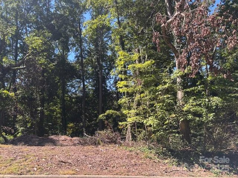 Forest Park, Hickory Community