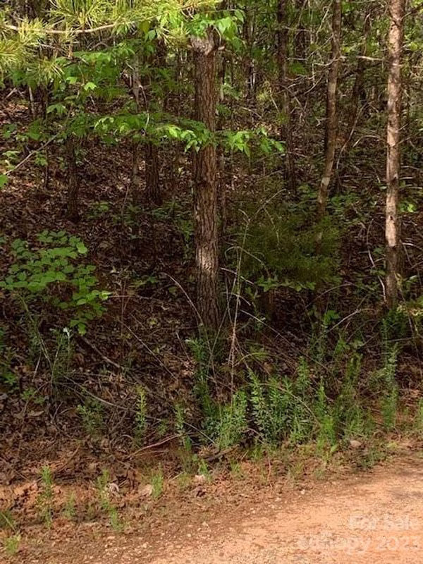 Property image 2 at 00 Deer Crossing Drive, Marion, NC 28752