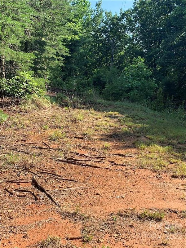 000 Deer Run
