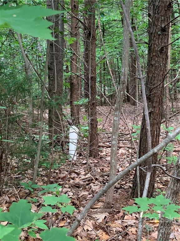 Property image 3 of 000 Deer Run in Highland Meadows, Lenoir, NC 28645