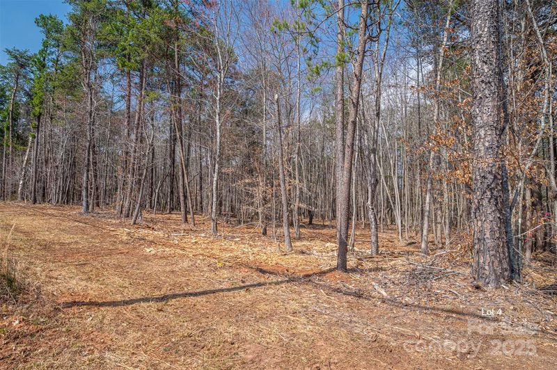 Property image 4 at 00 Forney Hill Road, Denver, NC 28037