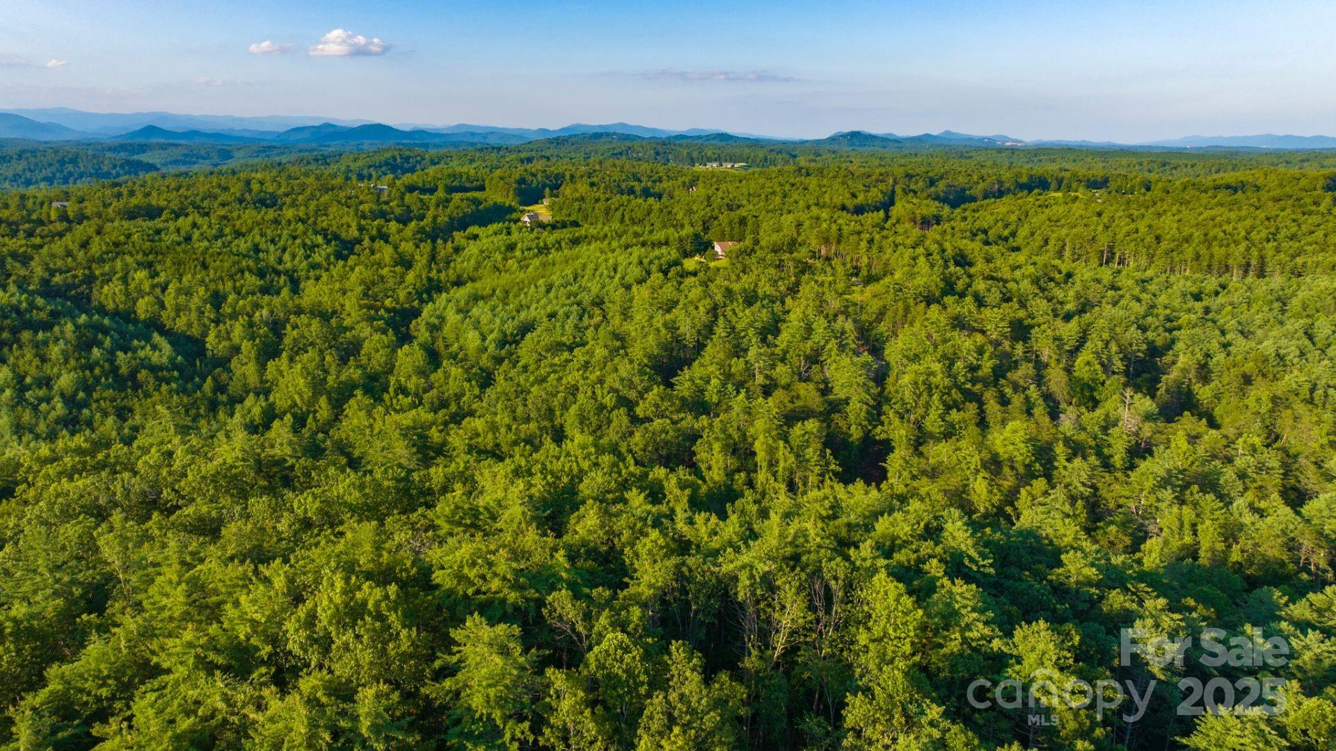 Property image 5 of 1106 Table View Drive in Old Oaks Estates, Morganton, NC 28655