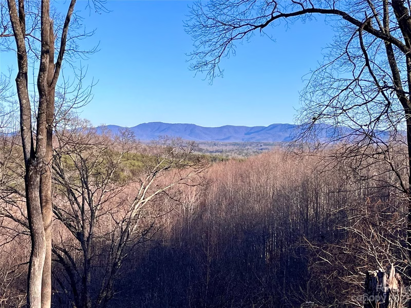 Lot 178 Black Lark Drive