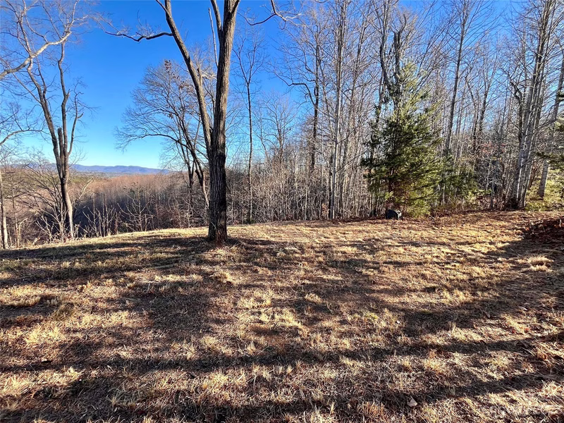 Property image 4 at Lot 178 Black Lark Drive, Marion, NC 28752