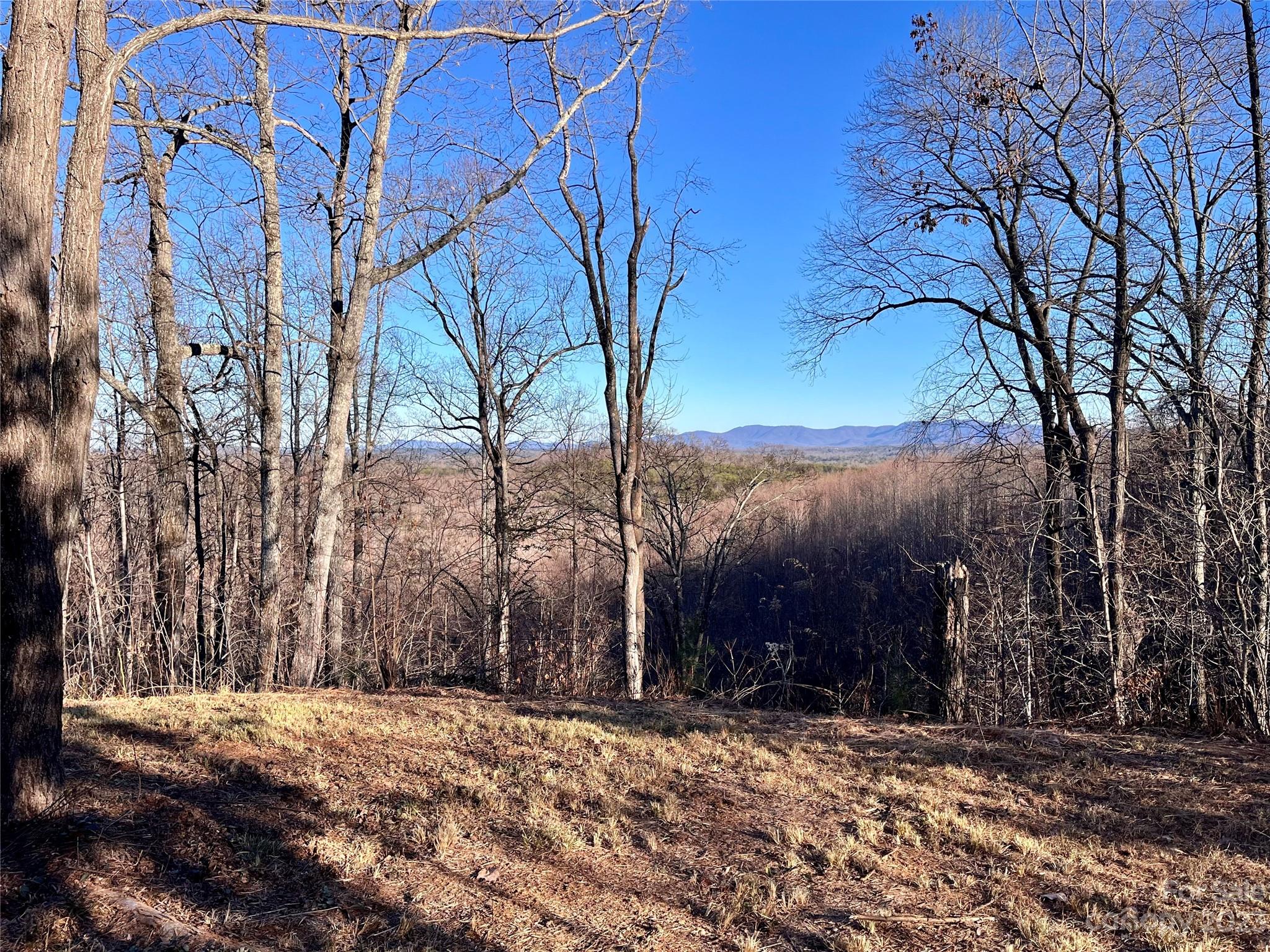 Property image 3 of Lot 178 Black Lark Drive in Forest Heights, Marion, NC 28752