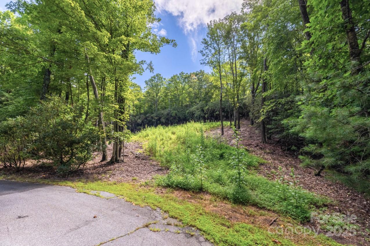 Property image 2 of 0 School House Road in Pisgah Forest Farms, Pisgah Forest, NC 28768