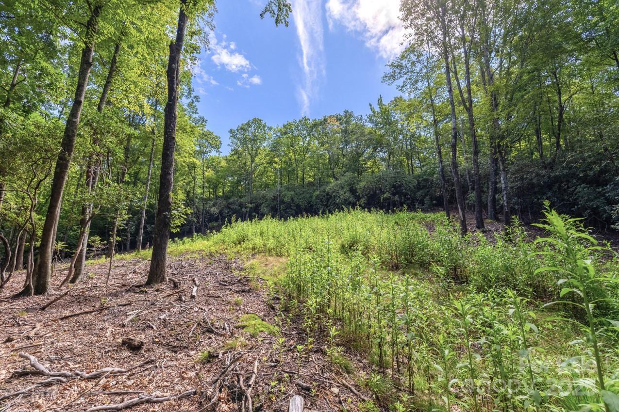 Property image 5 of 0 School House Road in Pisgah Forest Farms, Pisgah Forest, NC 28768