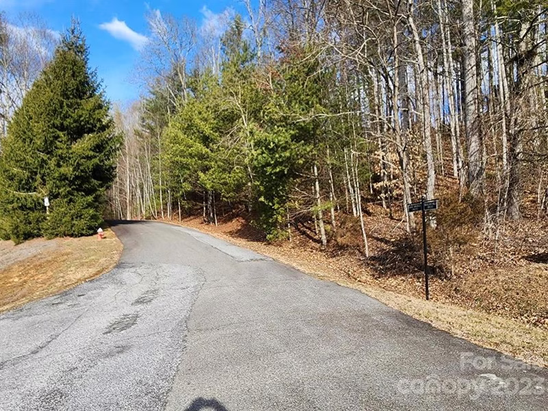 Property image 2 at 00 Barebridge Drive, Burnsville, NC 28714