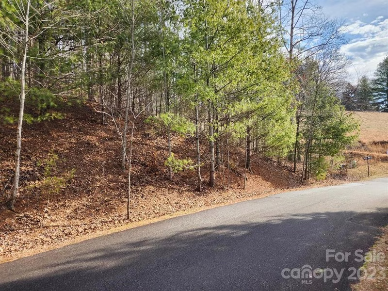Property image 3 at 00 Barebridge Drive, Burnsville, NC 28714