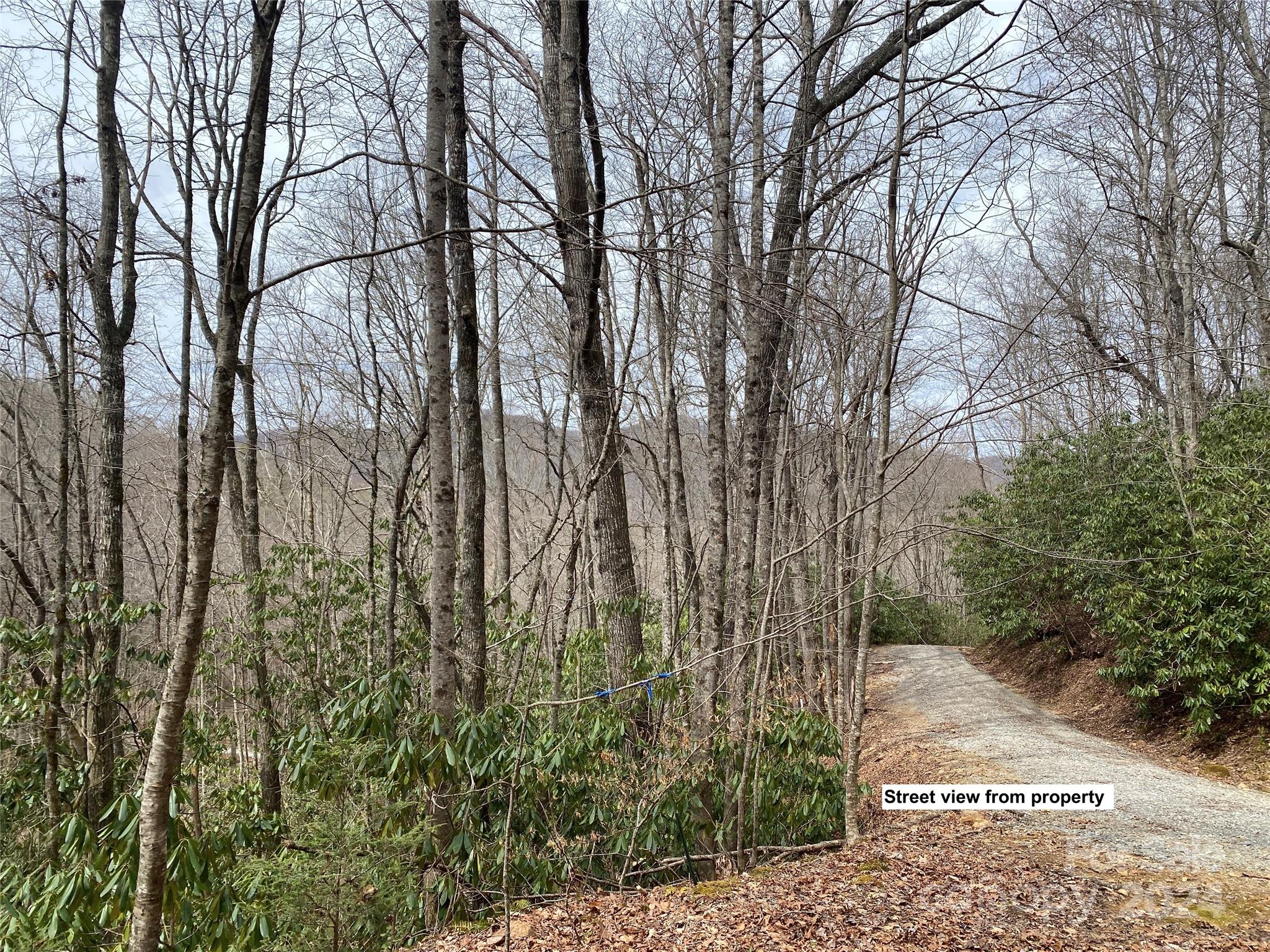 Property image 3 of Lot 2 Lake Ridge Lane in Whispering Springs, Topton, NC 28781