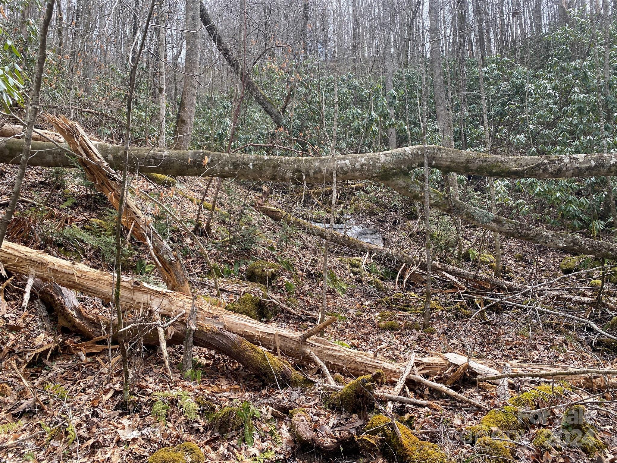 Property image 5 of Lot 2 Lake Ridge Lane in Whispering Springs, Topton, NC 28781