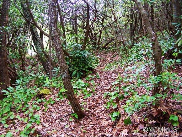 Property image 5 of Lt 28 30 Stone Chimney Dr in The Divide, Sapphire, NC 28774