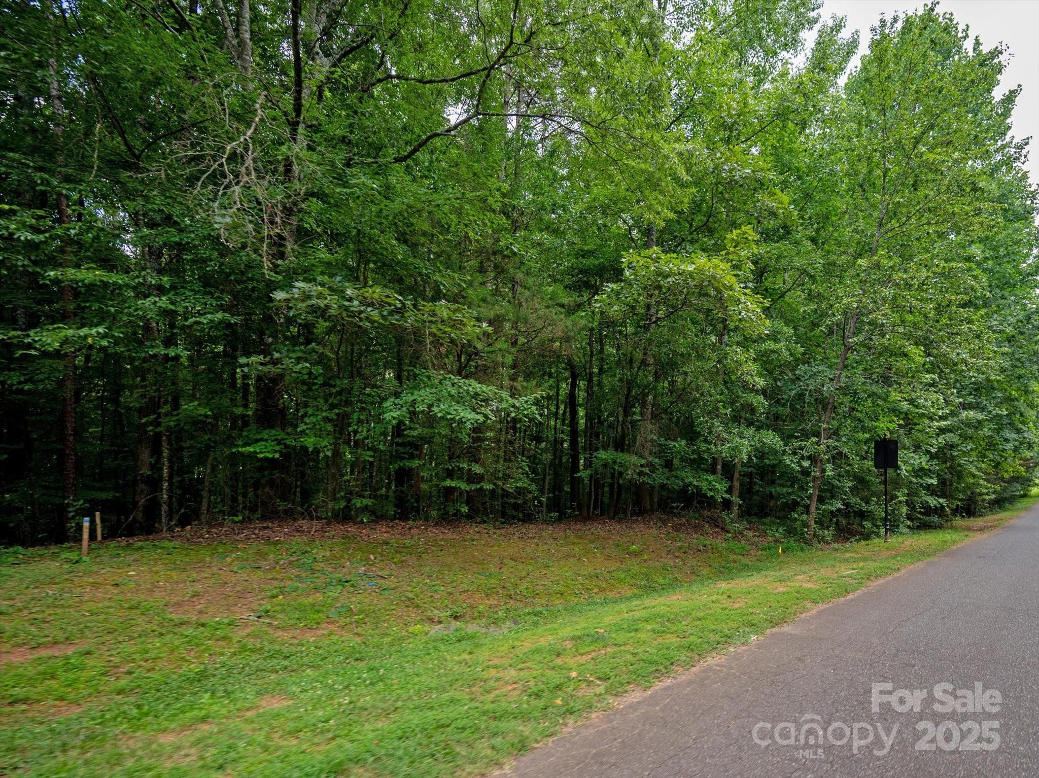 Property image 4 of Lot 37 Willow Oaks Trail in Willow Oaks, Matthews, NC 28104