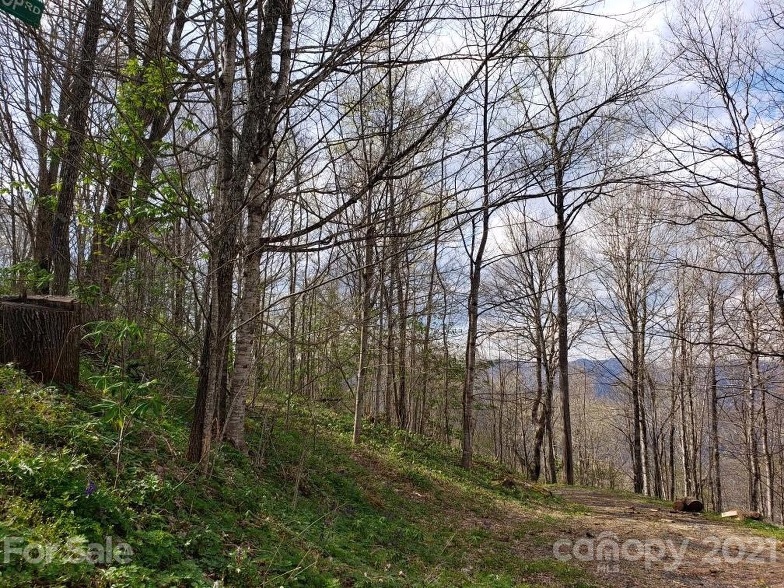 Property image 1 at Lots 64 65 Locust Gap Road, Bakersville, NC 28705