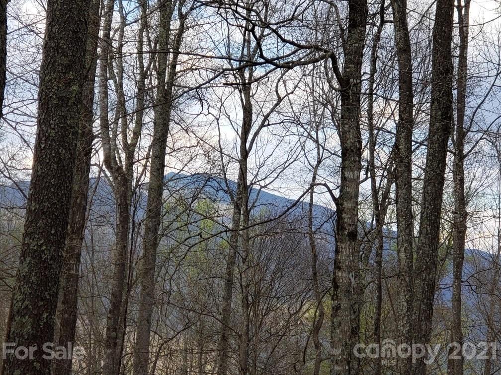 Property image 5 of Lots 64 65 Locust Gap Road in Bear Ridge, Bakersville, NC 28705