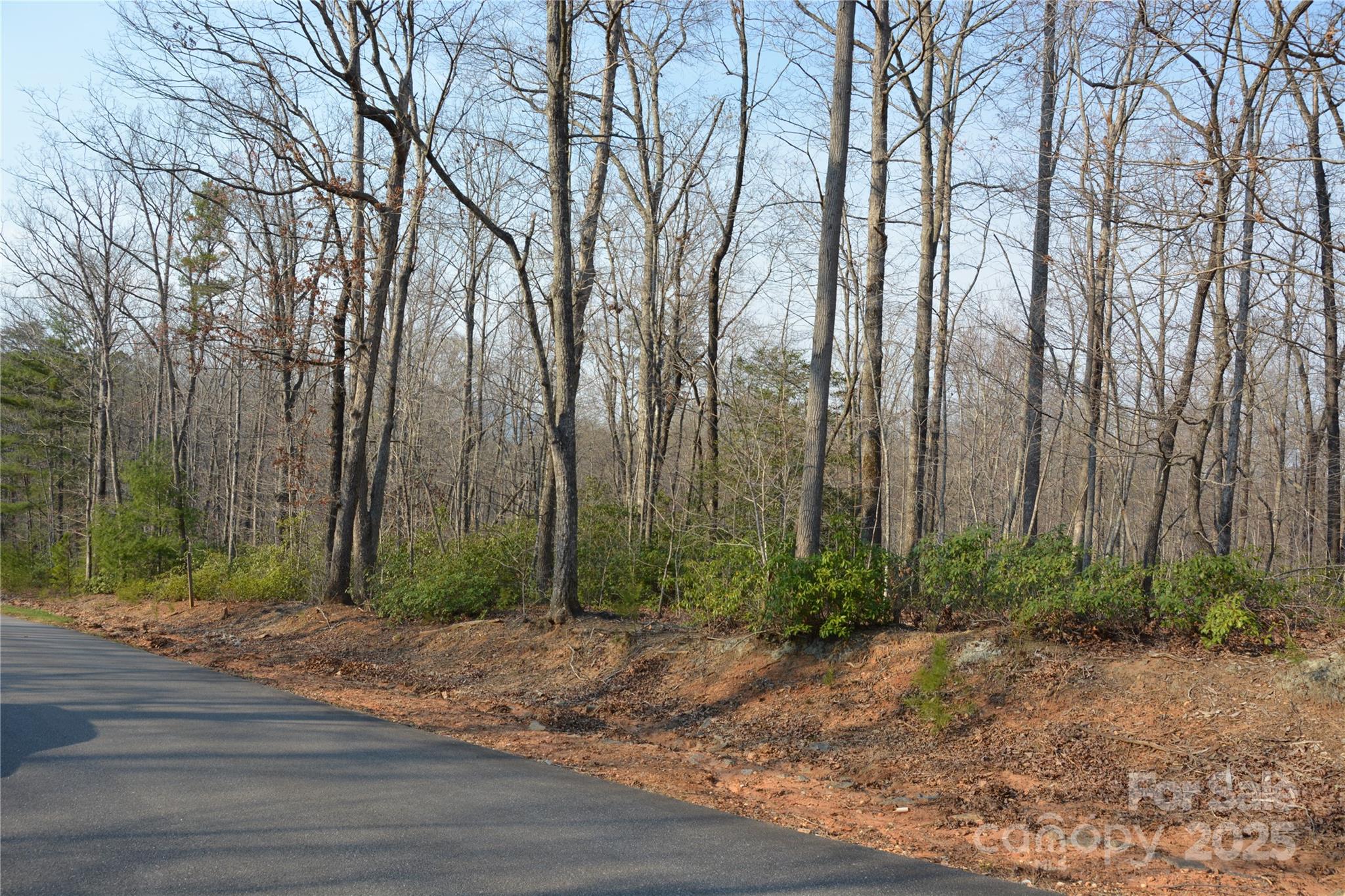 Property image 2 of Lot 78 Big Branch Drive in Forest Heights, Marion, NC 28752