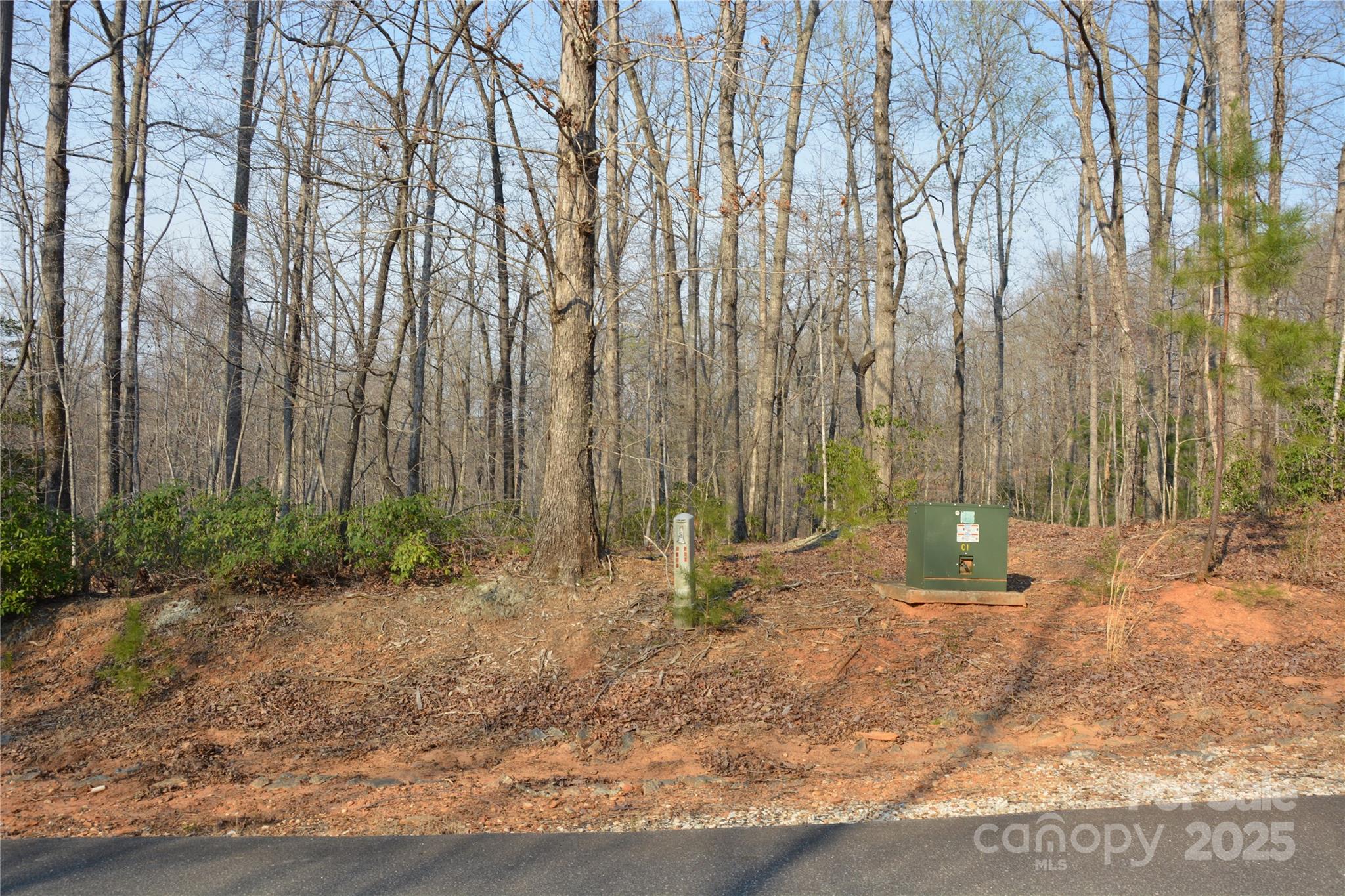 Property image 3 of Lot 78 Big Branch Drive in Forest Heights, Marion, NC 28752