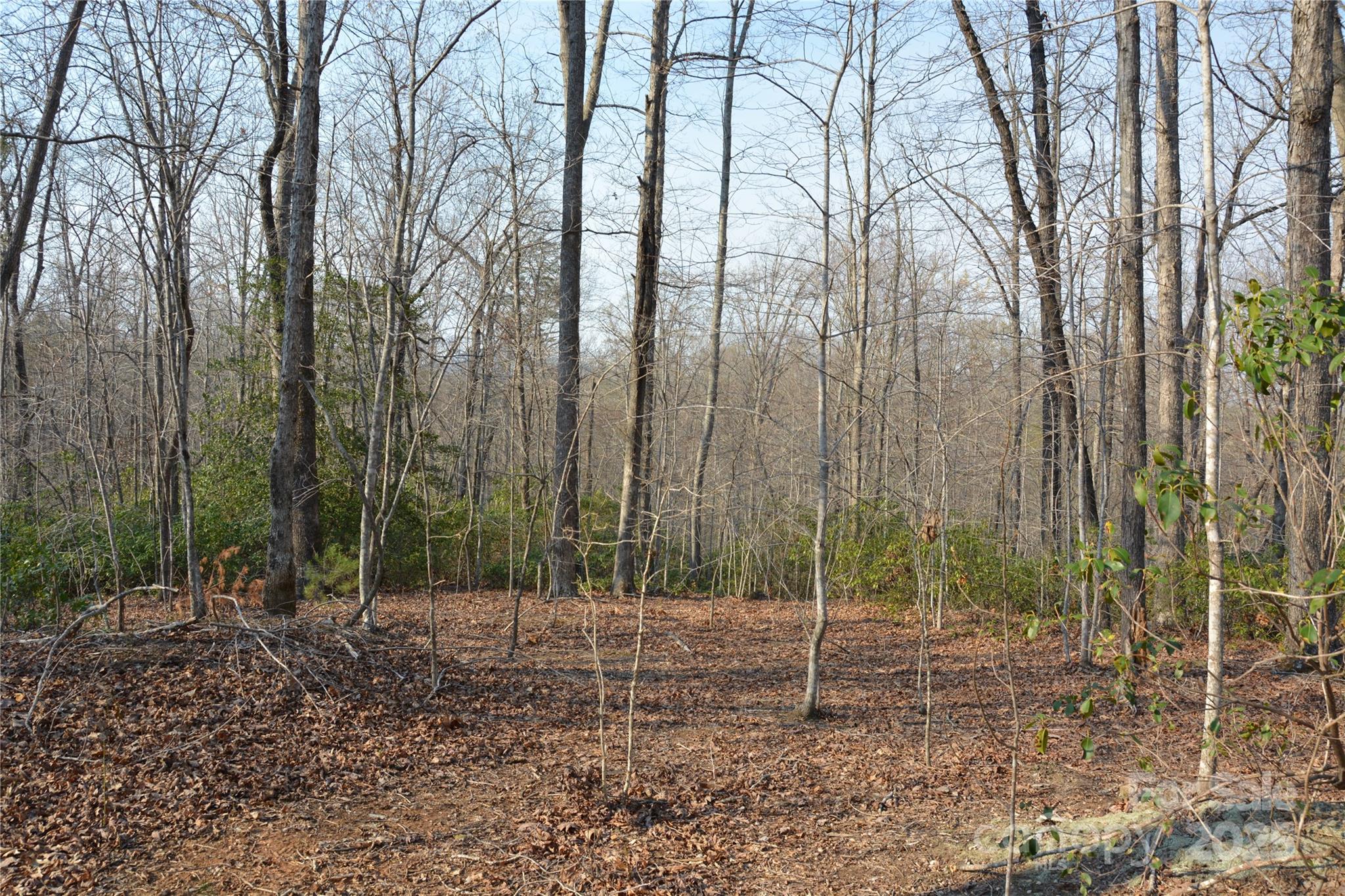 Property image 4 of Lot 78 Big Branch Drive in Forest Heights, Marion, NC 28752