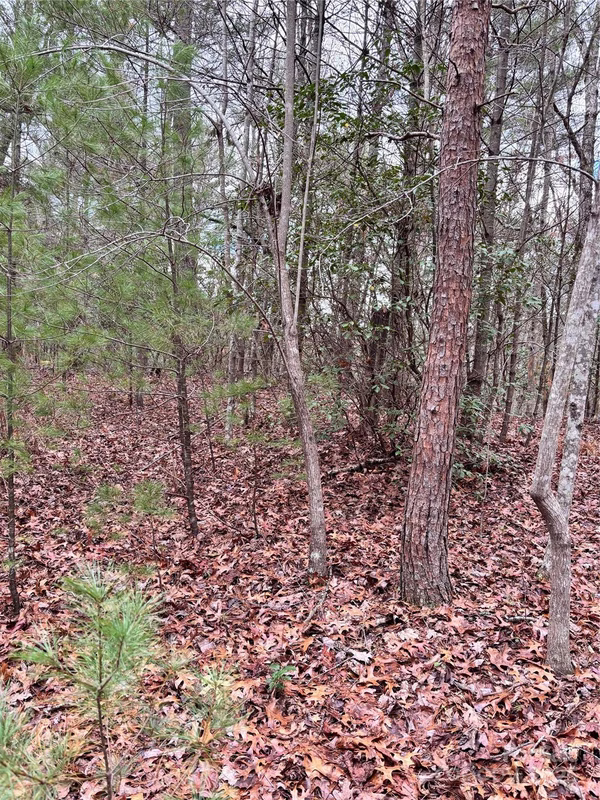 Property image 5 at 1454 Ohennesy Lane, Lenoir, NC 28645