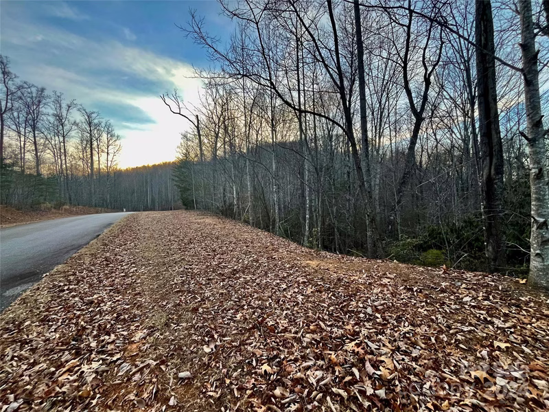 Property image 2 at Lot 123 Heartwood Drive, Marion, NC 28752