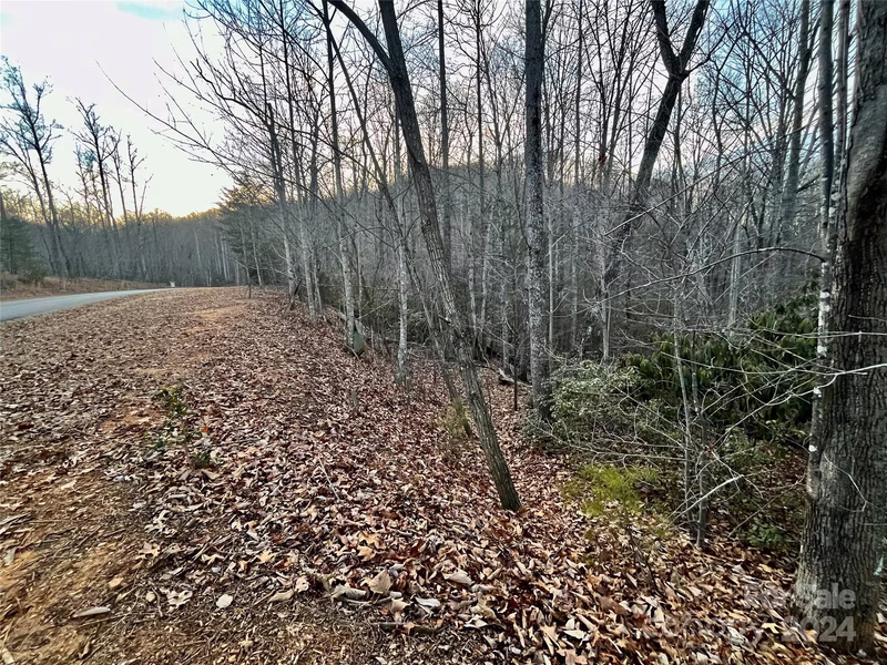 Property image 3 at Lot 123 Heartwood Drive, Marion, NC 28752
