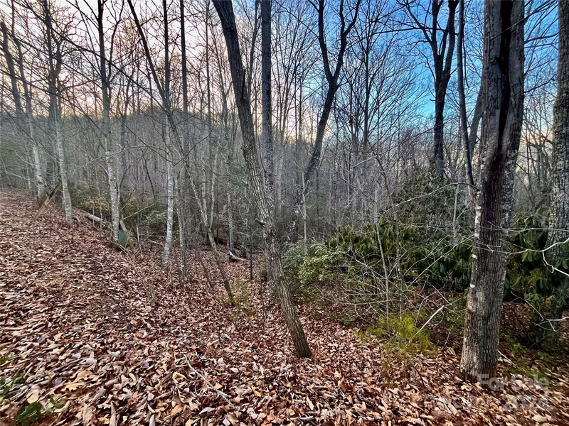 Property image 4 at Lot 123 Heartwood Drive, Marion, NC 28752