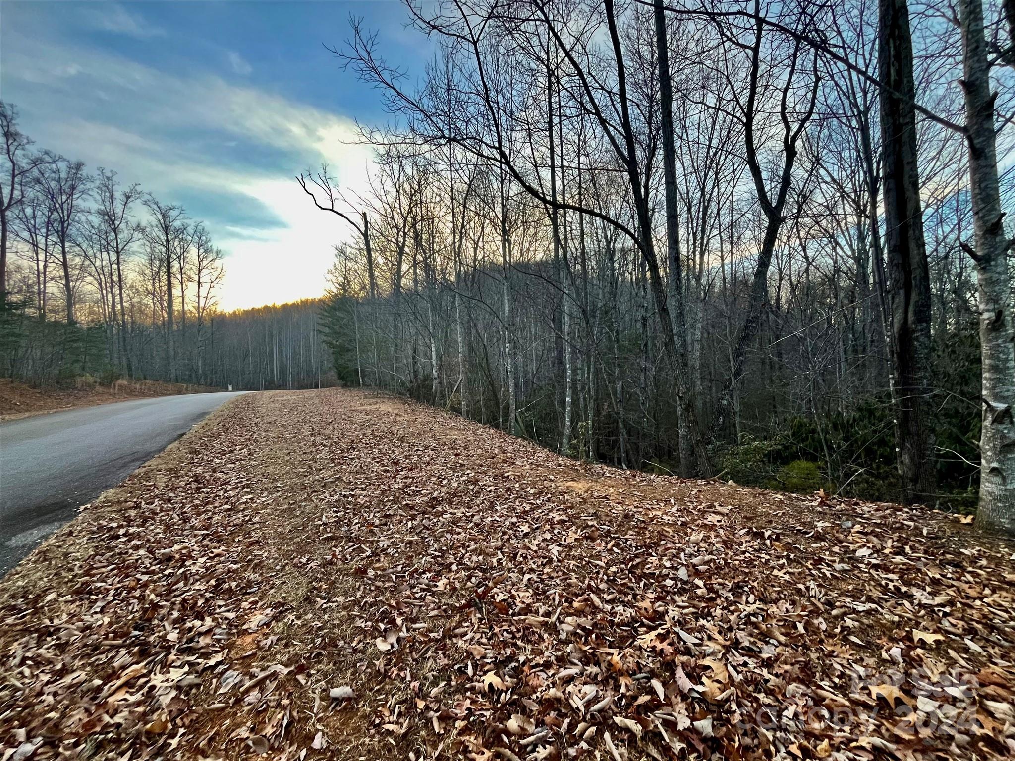 Property image 2 of Lot 123 Heartwood Drive in Forest Heights, Marion, NC 28752