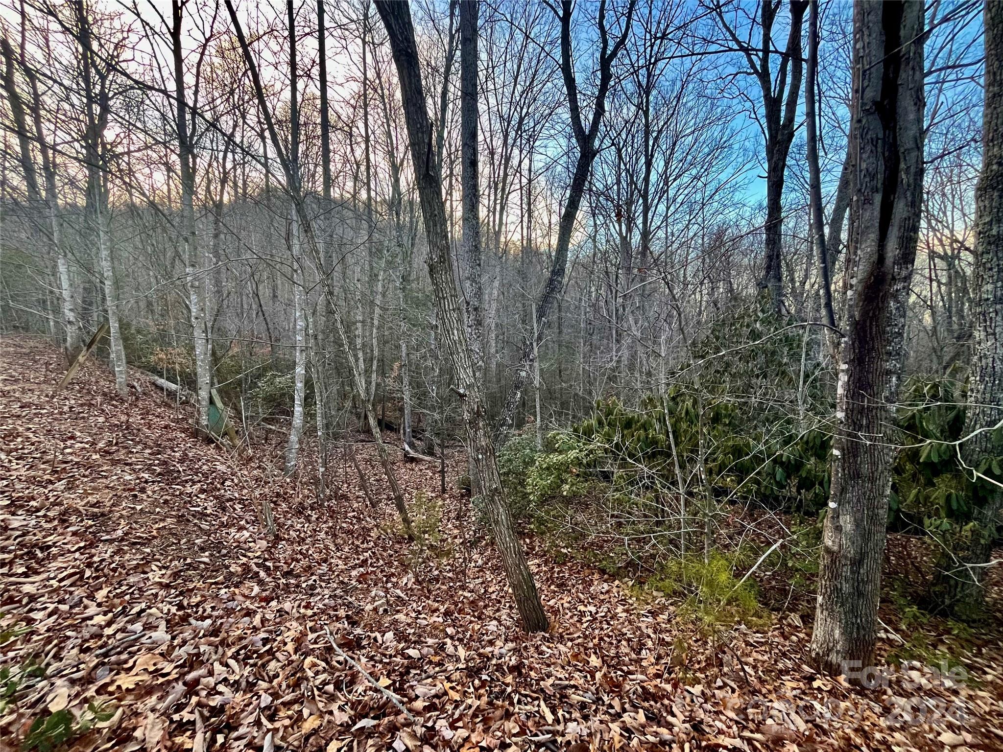 Property image 4 of Lot 123 Heartwood Drive in Forest Heights, Marion, NC 28752